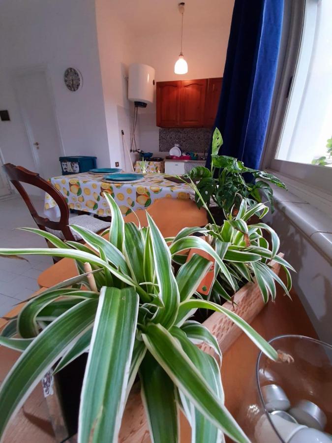 팔레르모 Casa Marisa 빌라 외부 사진
